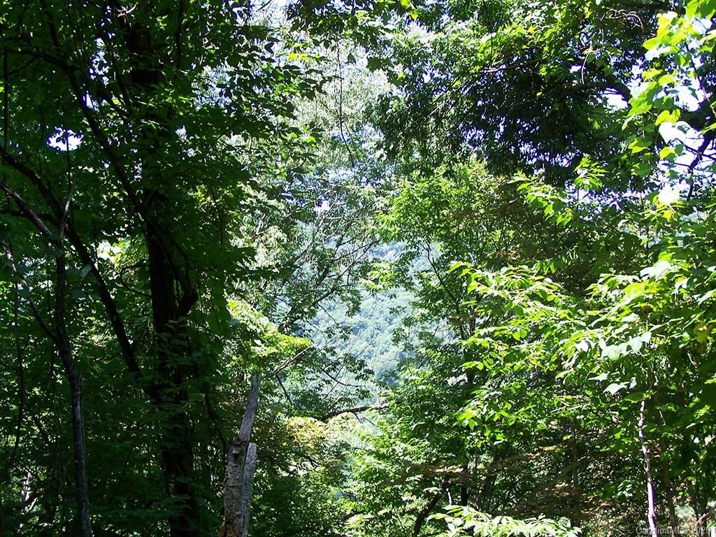 #6 Chestnut Flats Lane
