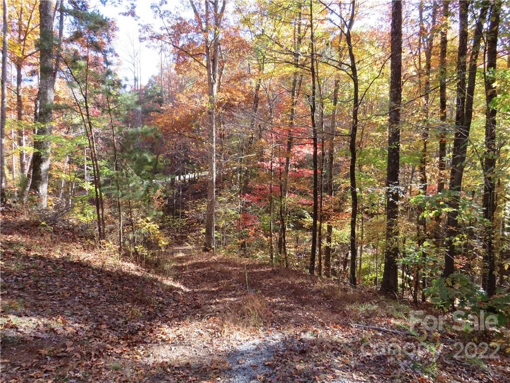Mountain Forest Drive