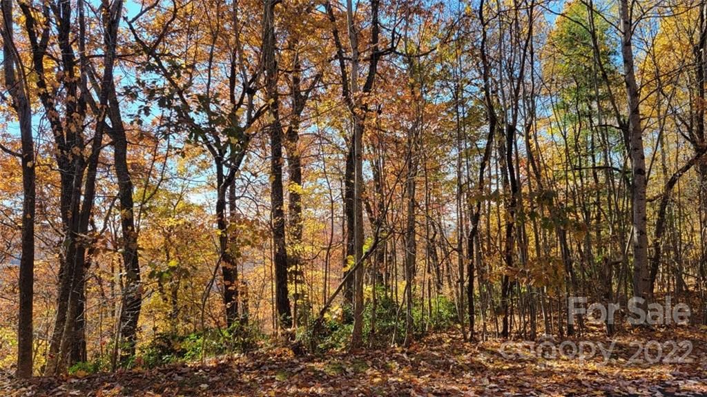 99999 Hemlock Trail