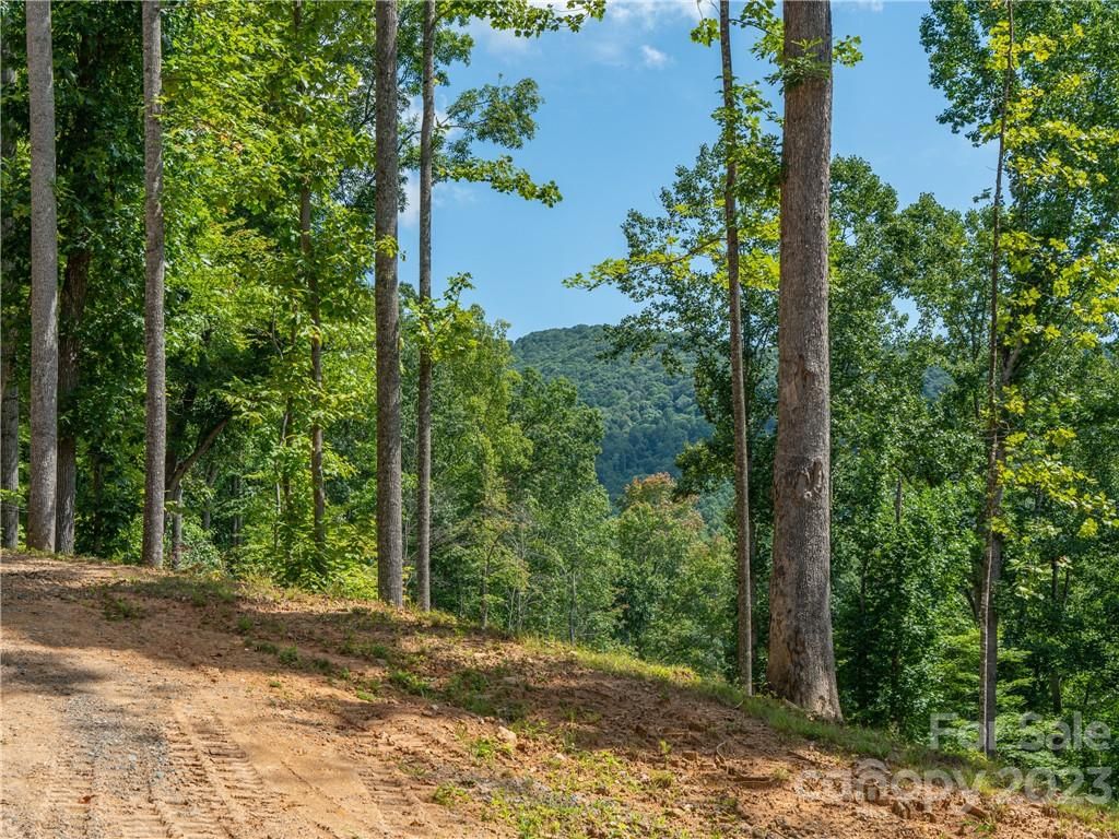 Lot 6 Locust Rough Mountain Road