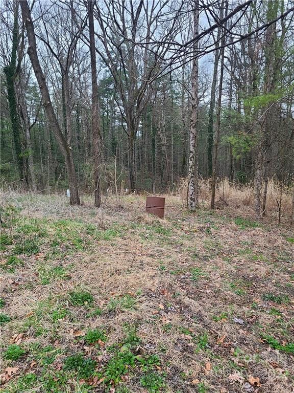 230 Kirkwood Hill Lane