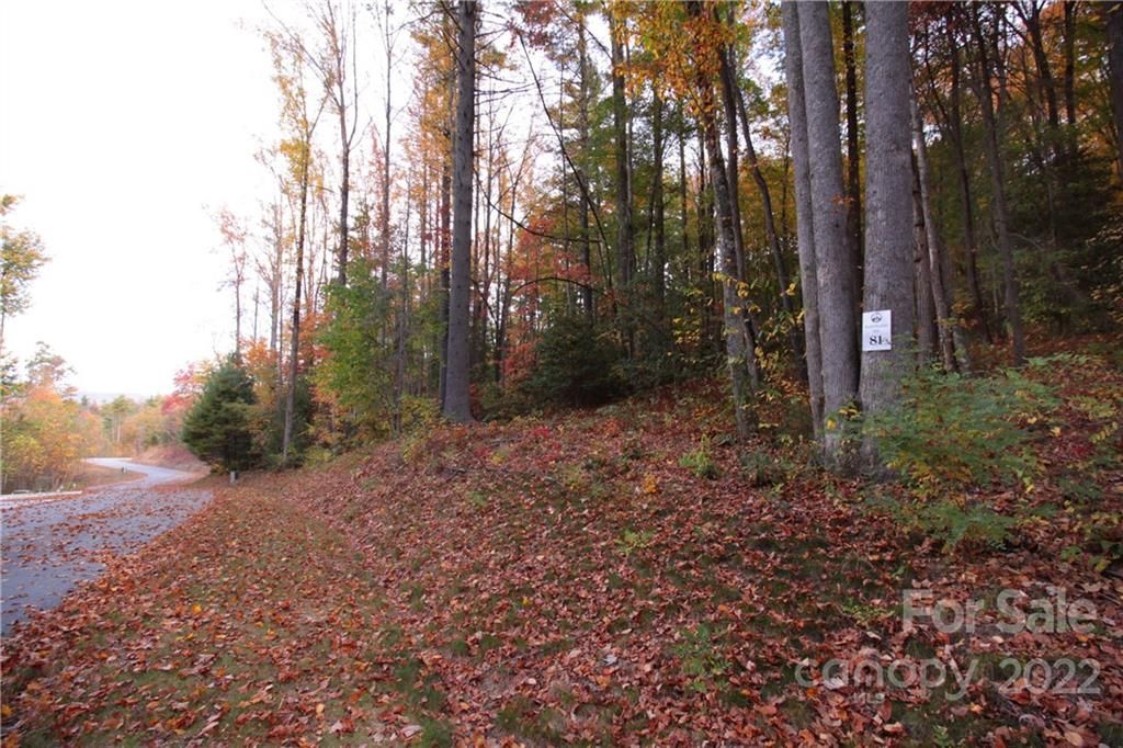 Lot 81 Peppervine Circle
