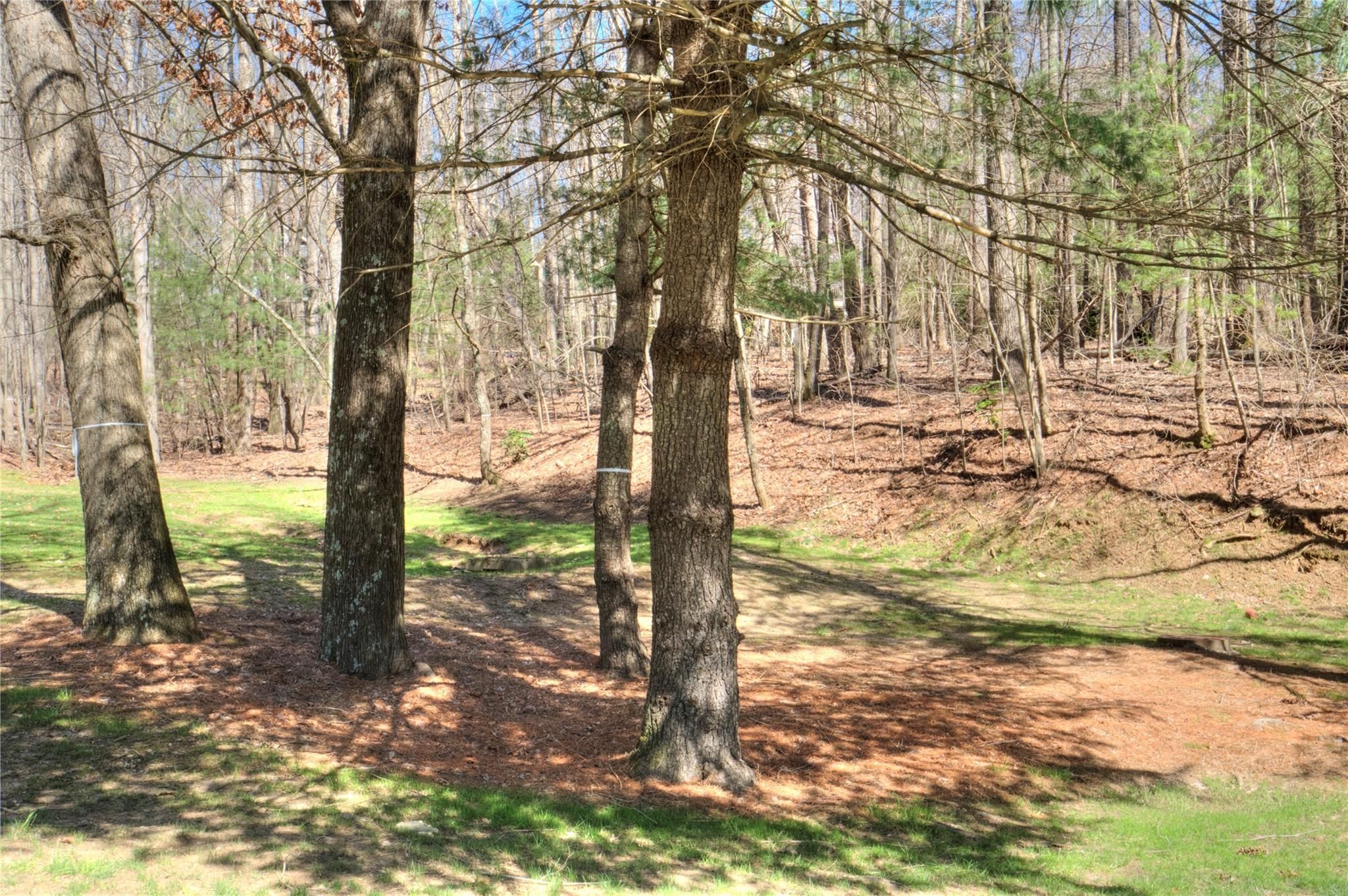 1008 Indian Cave Road