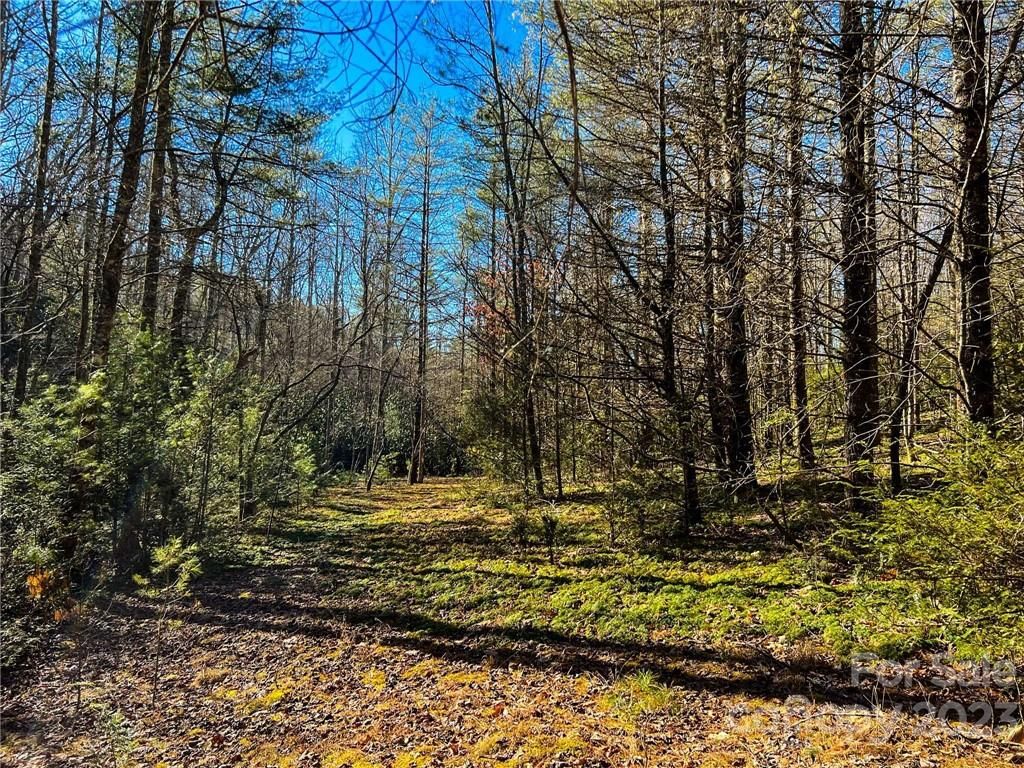 0000 Cantrell Mountain Road