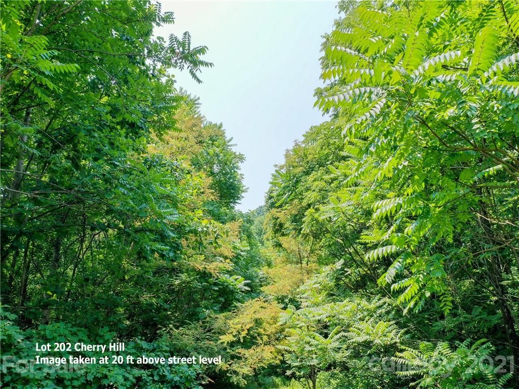 Lot 202 Cherry Hill Court