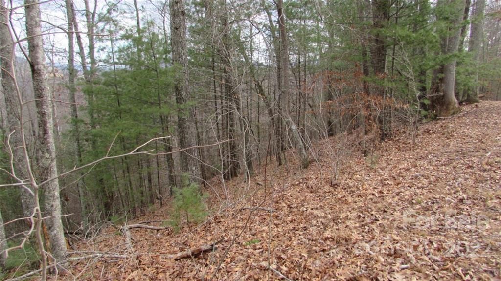 00 High Peak Ridge