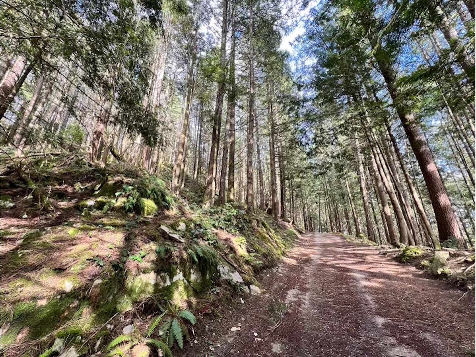Lot 2 LOT A ROAD