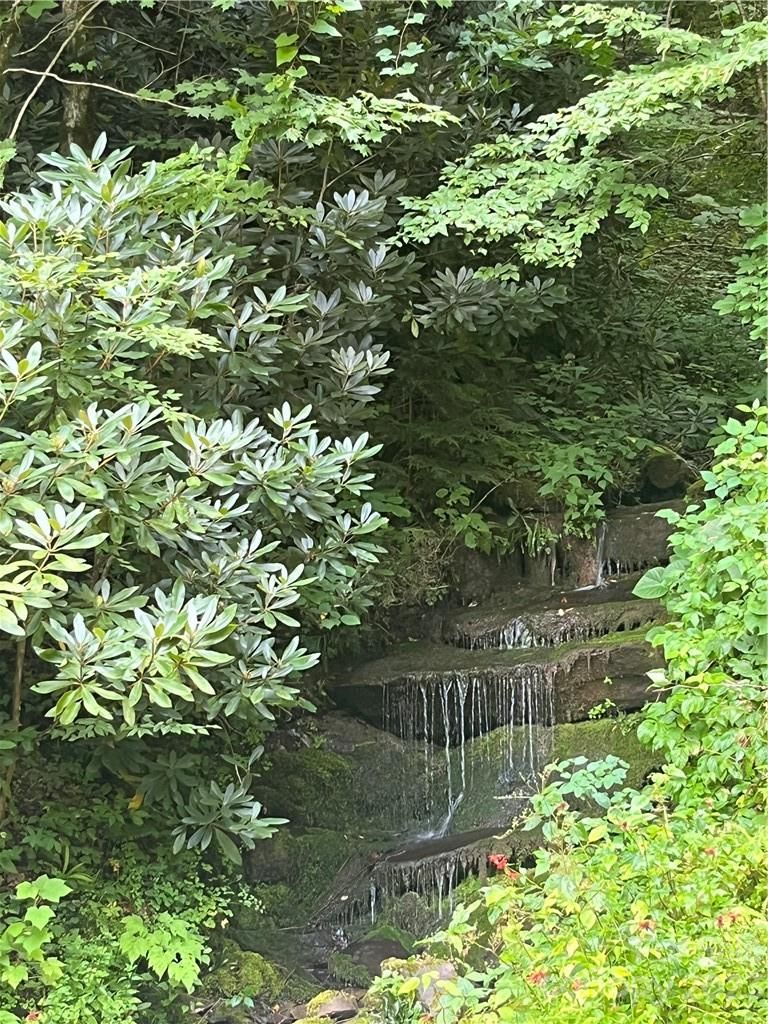 00 Cowee Mountain Road