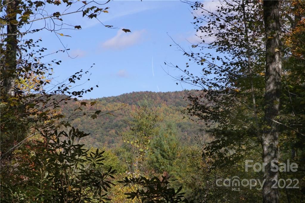 Lot 12 Silver Maple Trail