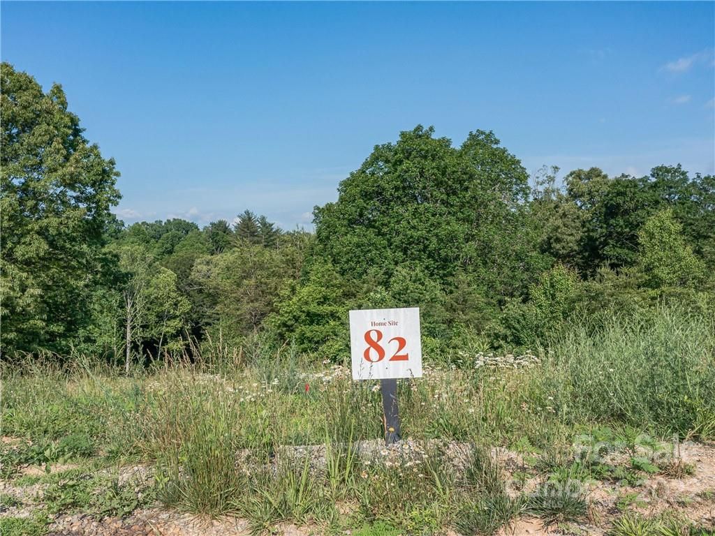 523 Wilma Dykeman Trail