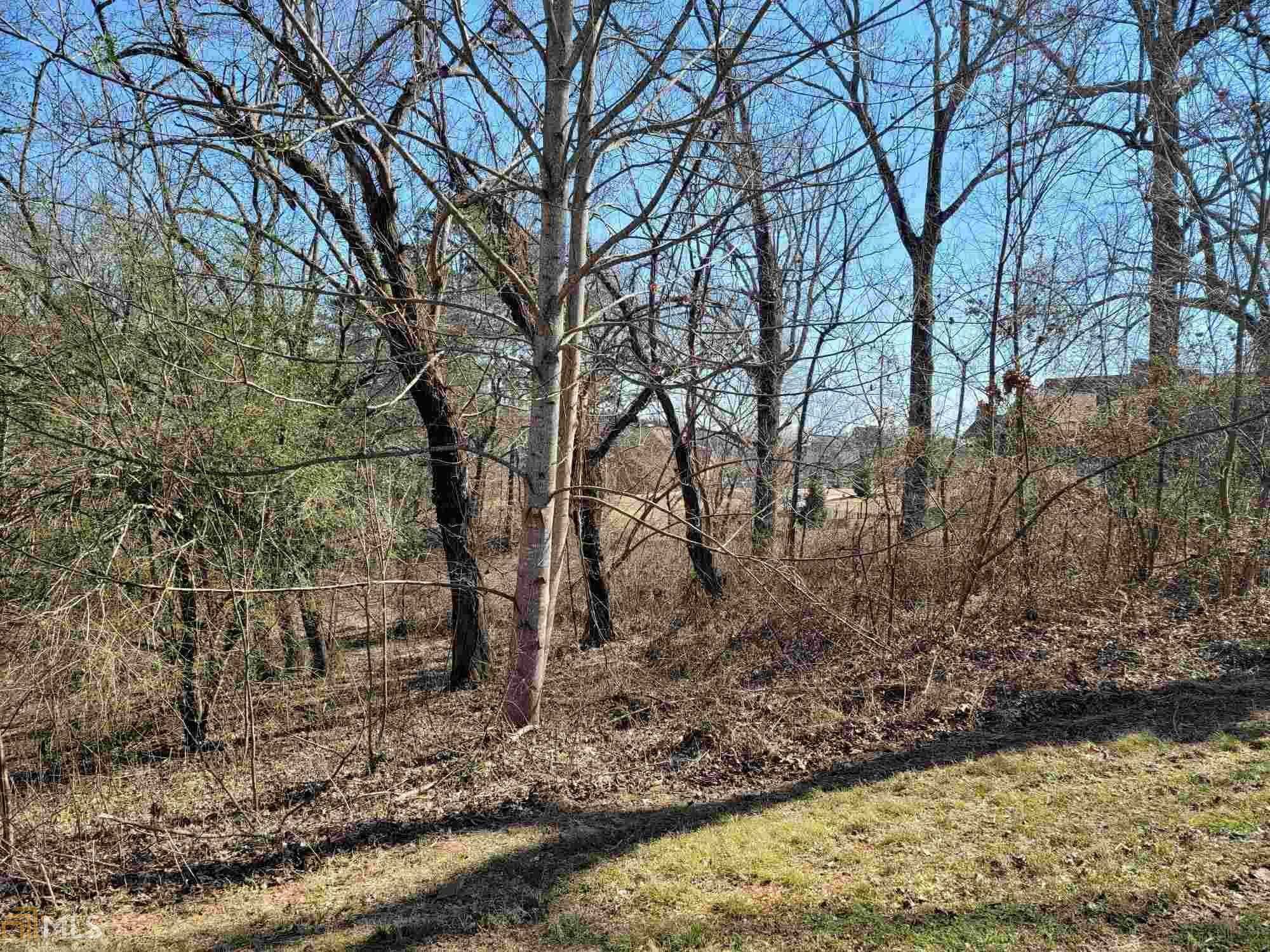 60 Timber Ridge Trail