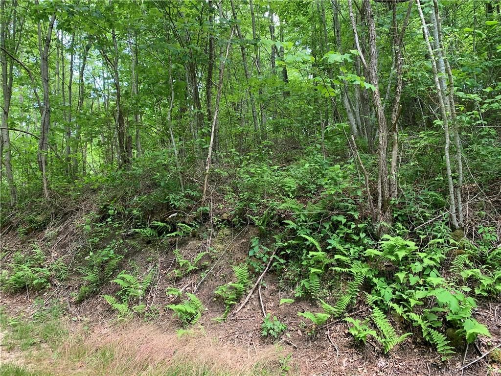 Lot 18 Racoon Cove Road