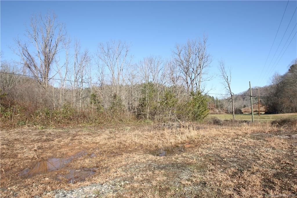 199 Sandy Mush Creek Road