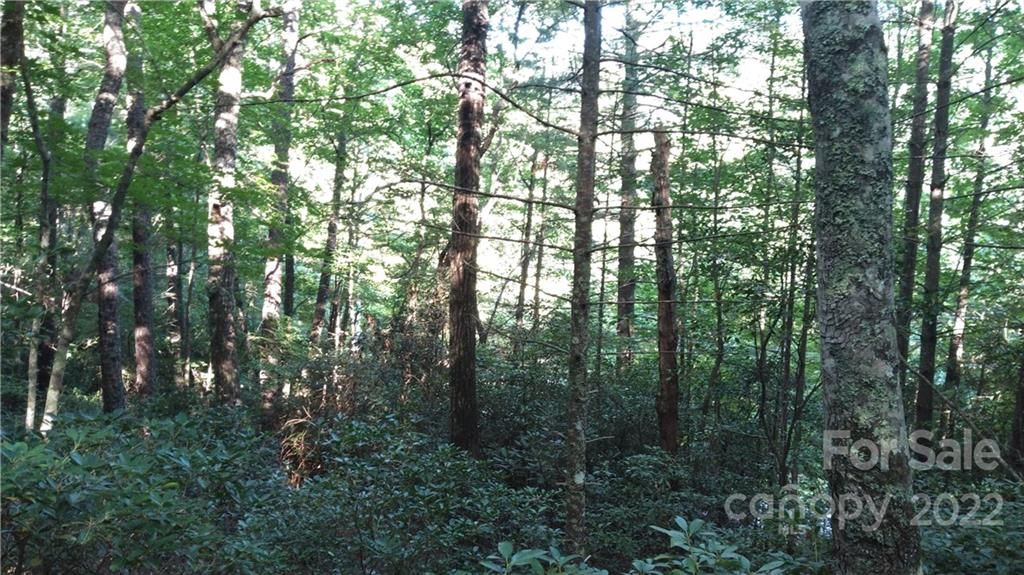Lot 12 Deer Ridge Trail