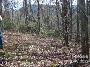 0000 Appaloosa Trail