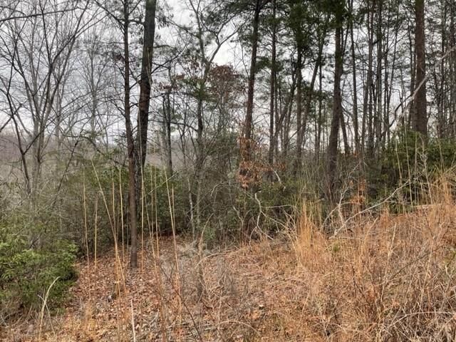00 Sanderling Road