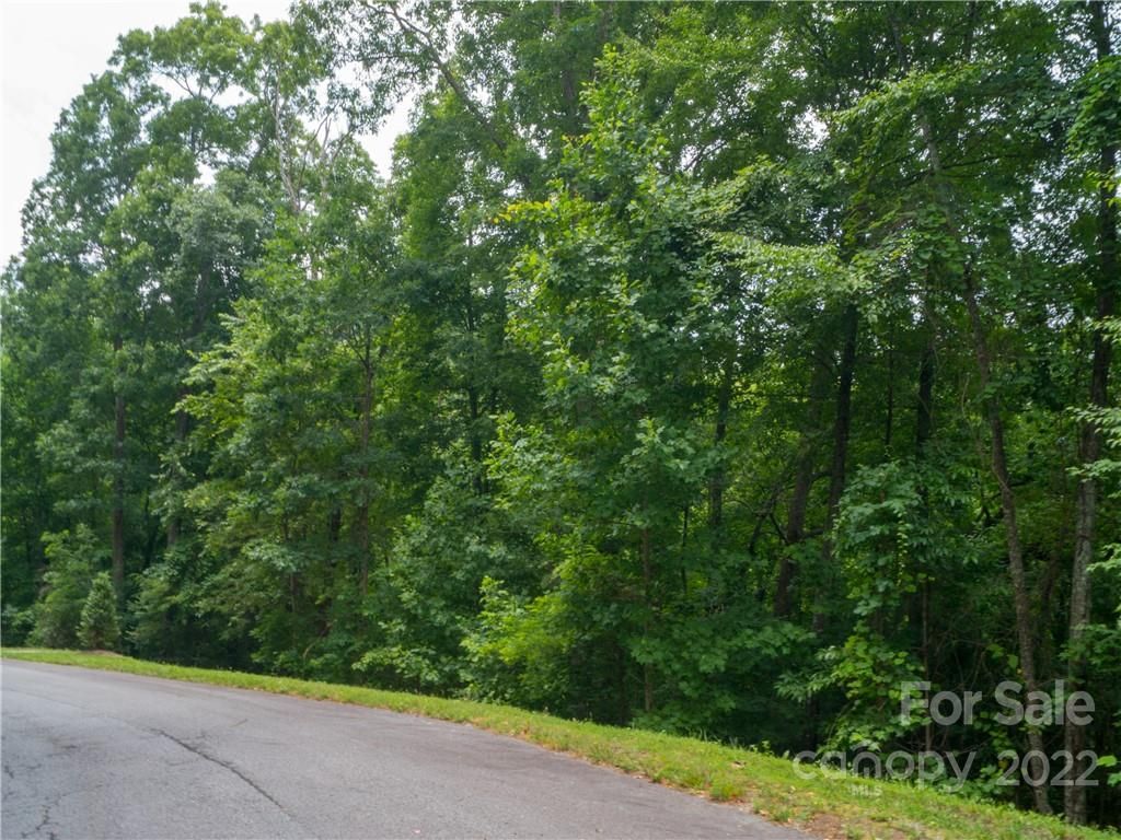 Lot 1 Top Ridge Lane