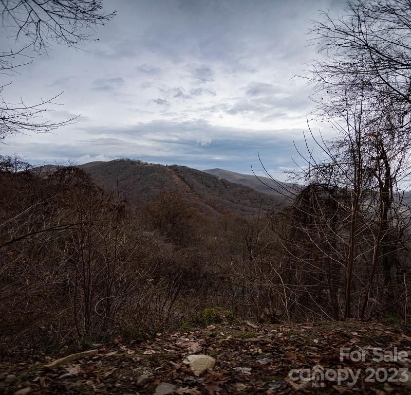 1260 Setzer Cove Road