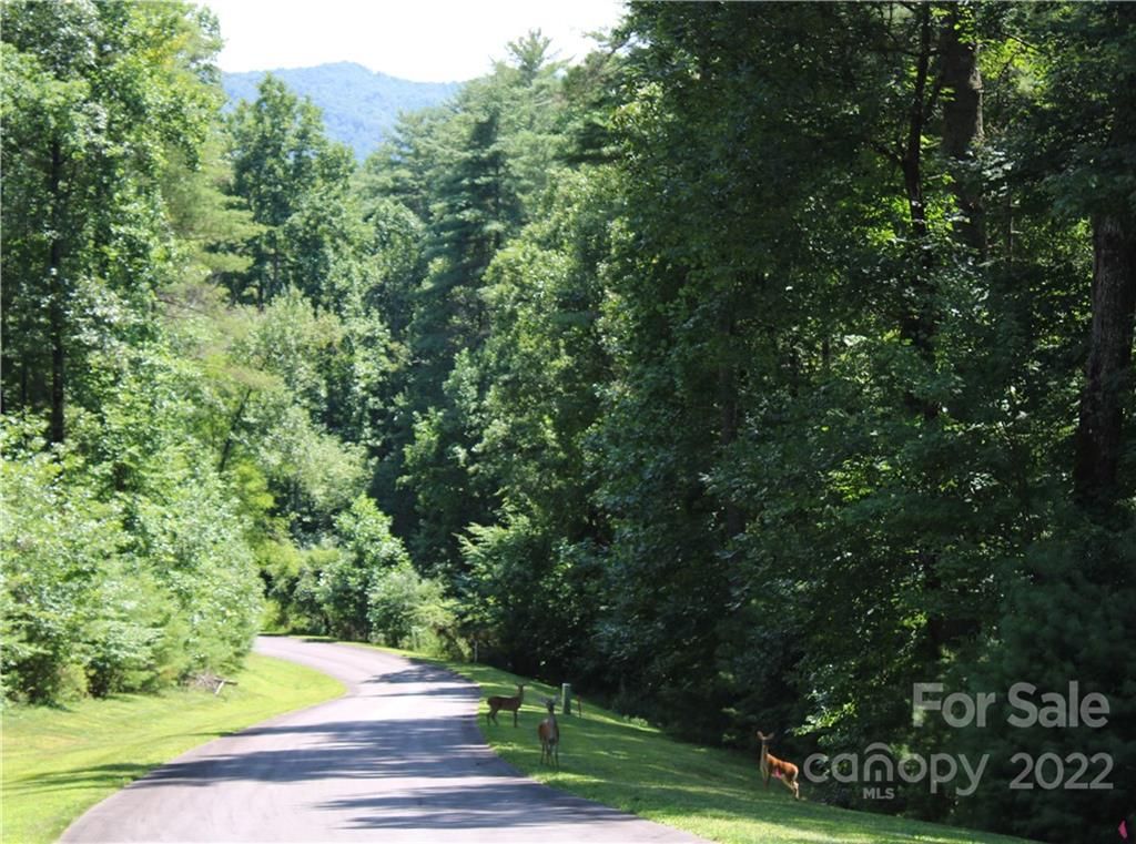 Lot 85r Mountain Home Trail