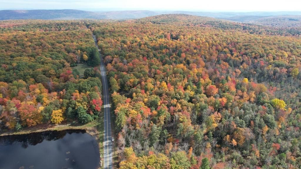 Mount Vernon Road