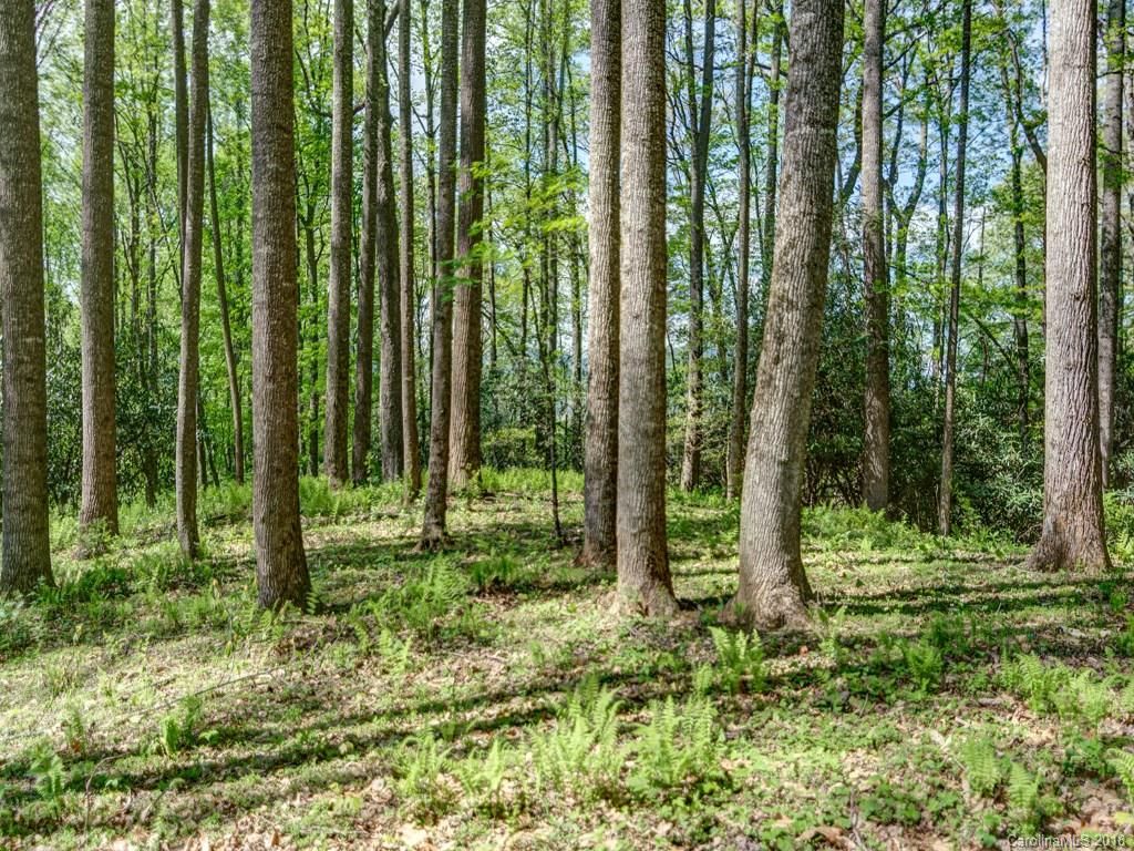 Lot 3 Powder Springs Trail