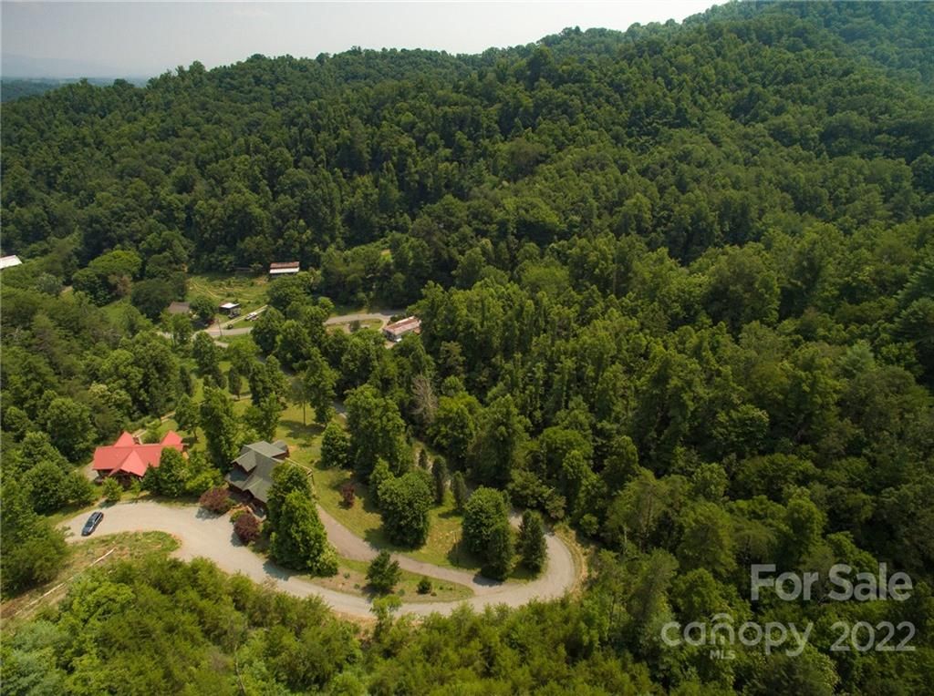 301 The Vines Boulevard