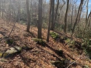 (42 Acres) Green River Cove Road