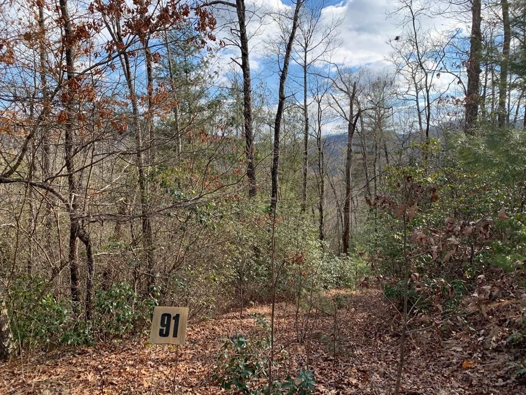 91 Laurel Thicket Lane