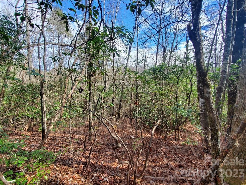 Tbd Green Hollow Lane