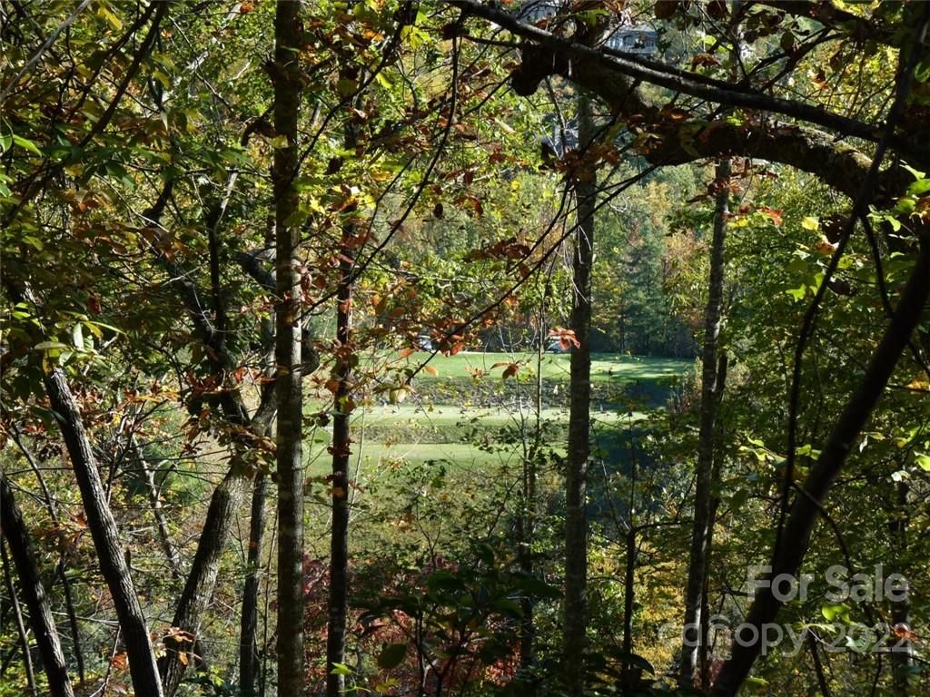105 Chattooga Run