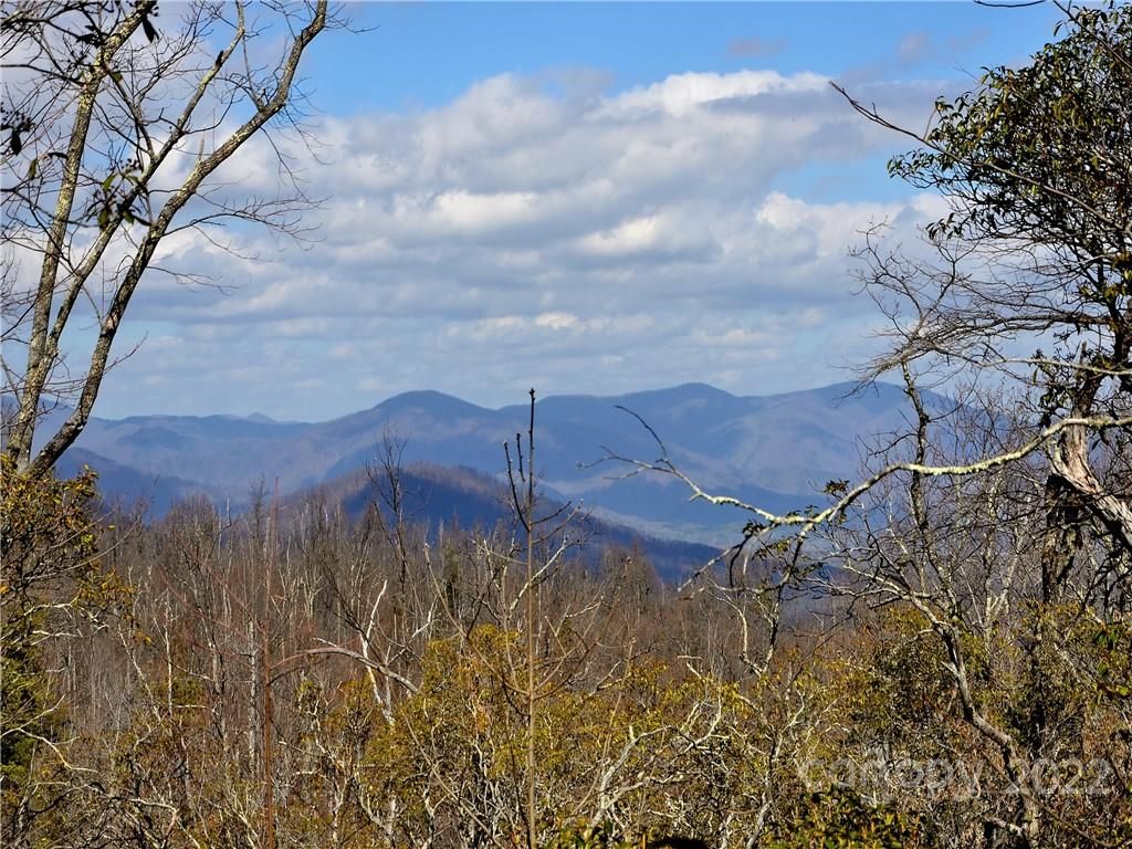 +/- 150 Acres Moondance Trail