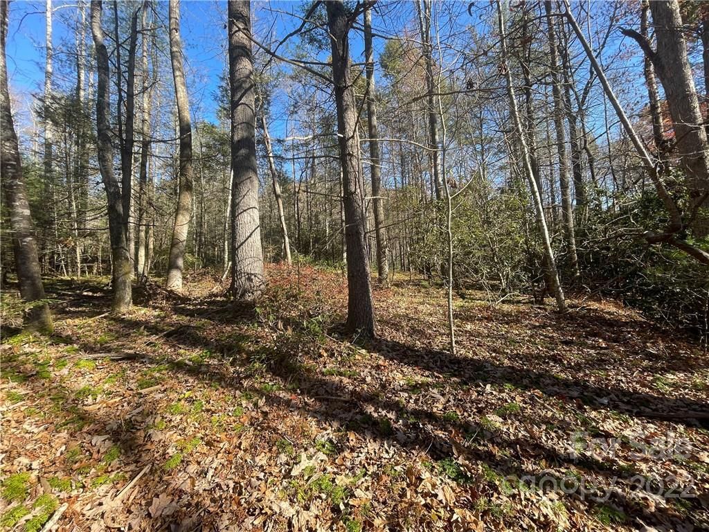 Tbd Green Hollow Lane