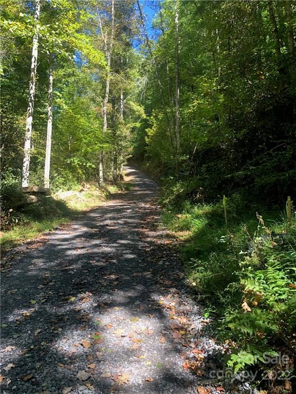 000 Grassy Gap Road