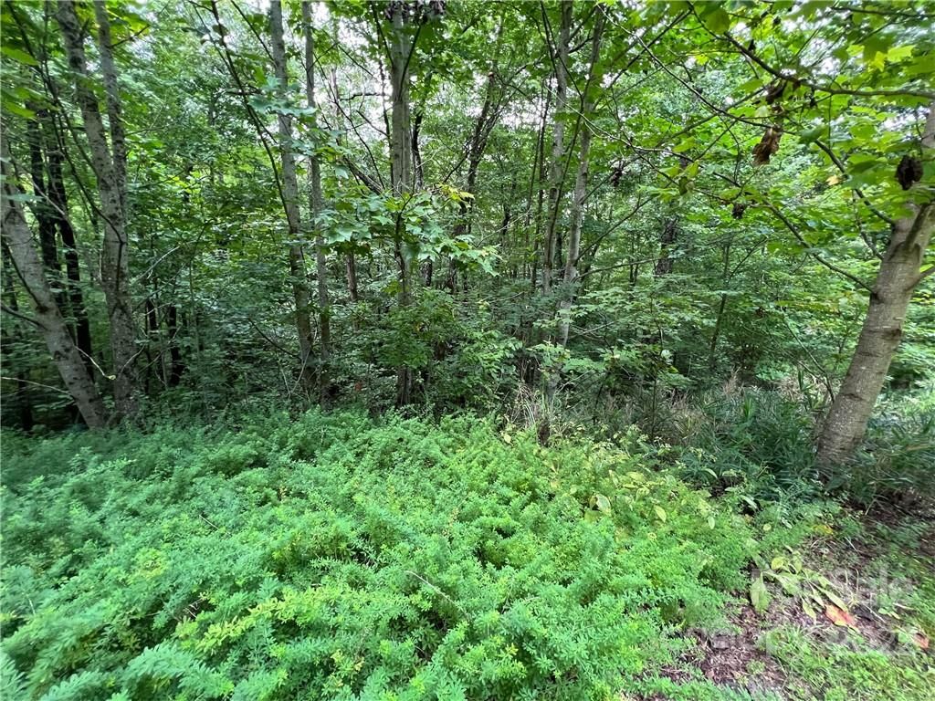 23 Kelly Mountain Road