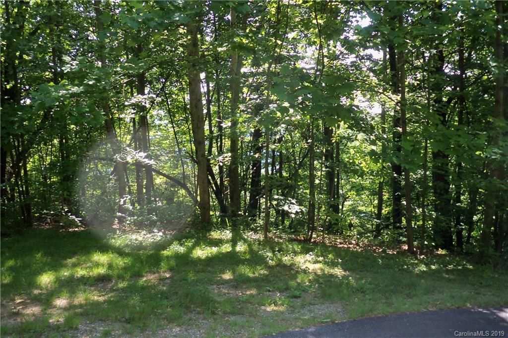 Lot 509 Multiflora Way