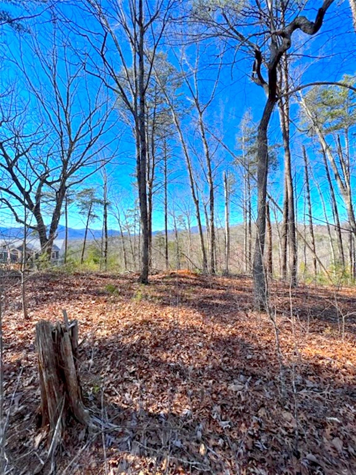 Deer Jump Trail