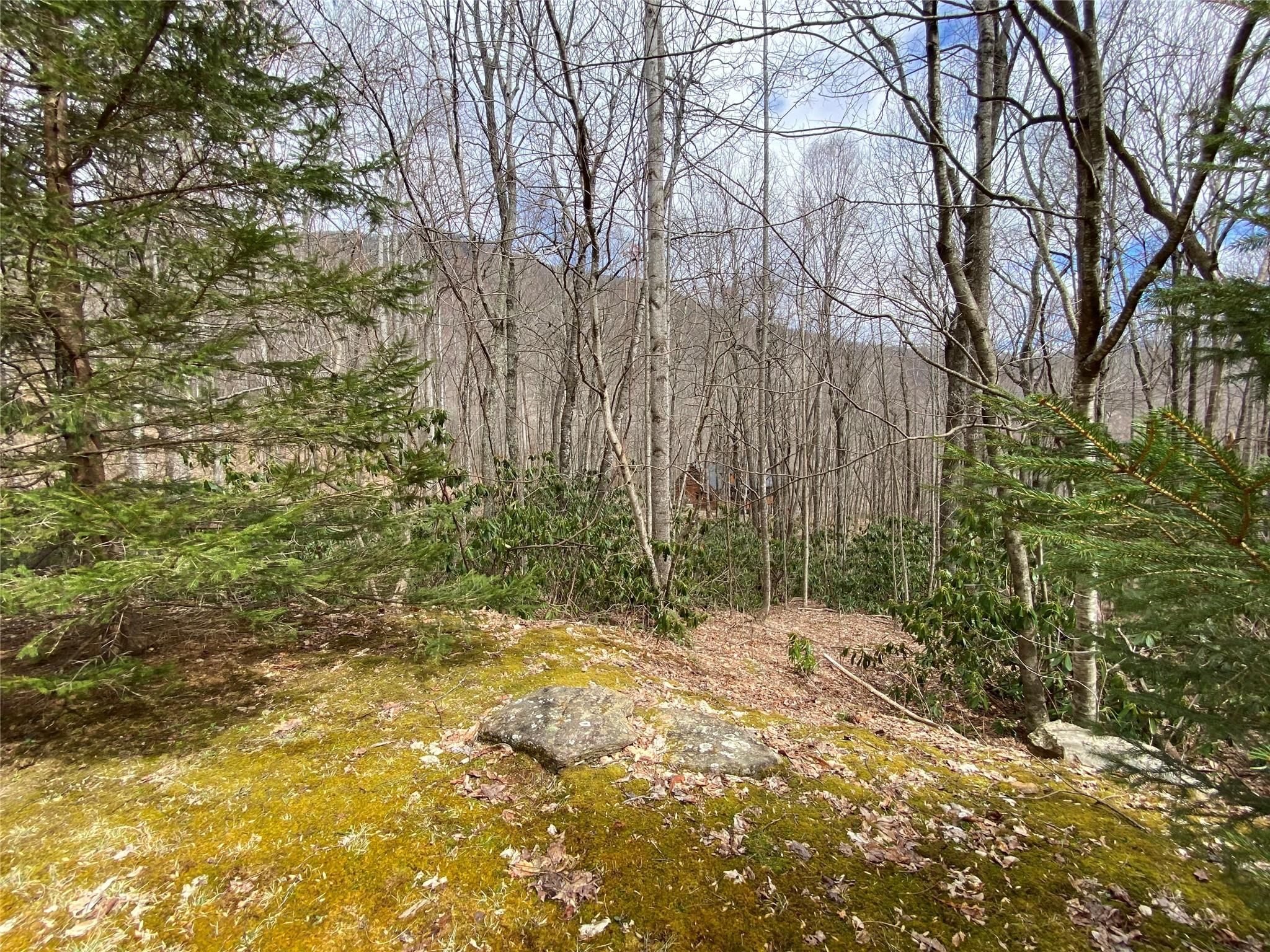 29 Wood Haven Lane