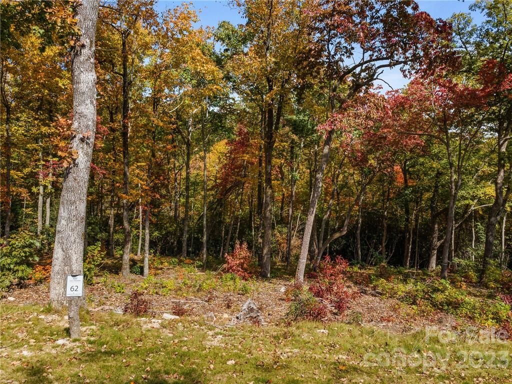 Tbd Mountain Grove Lane