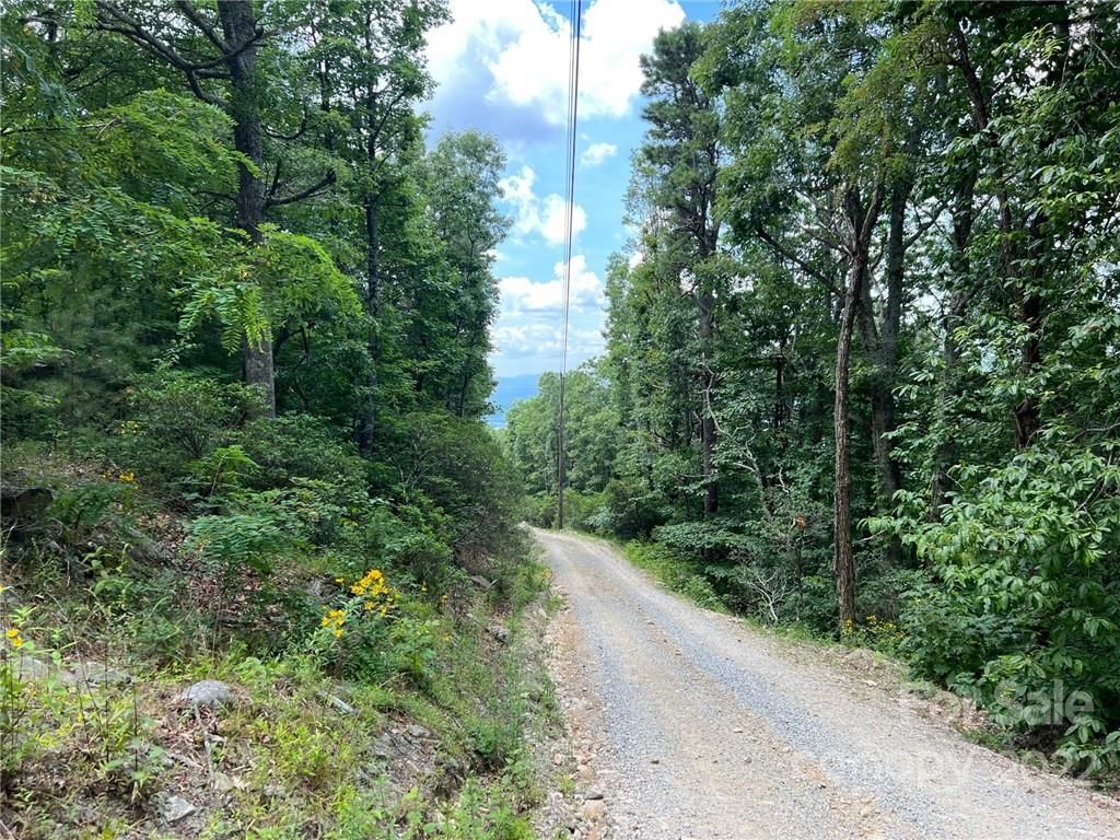 Pine Ridge Road