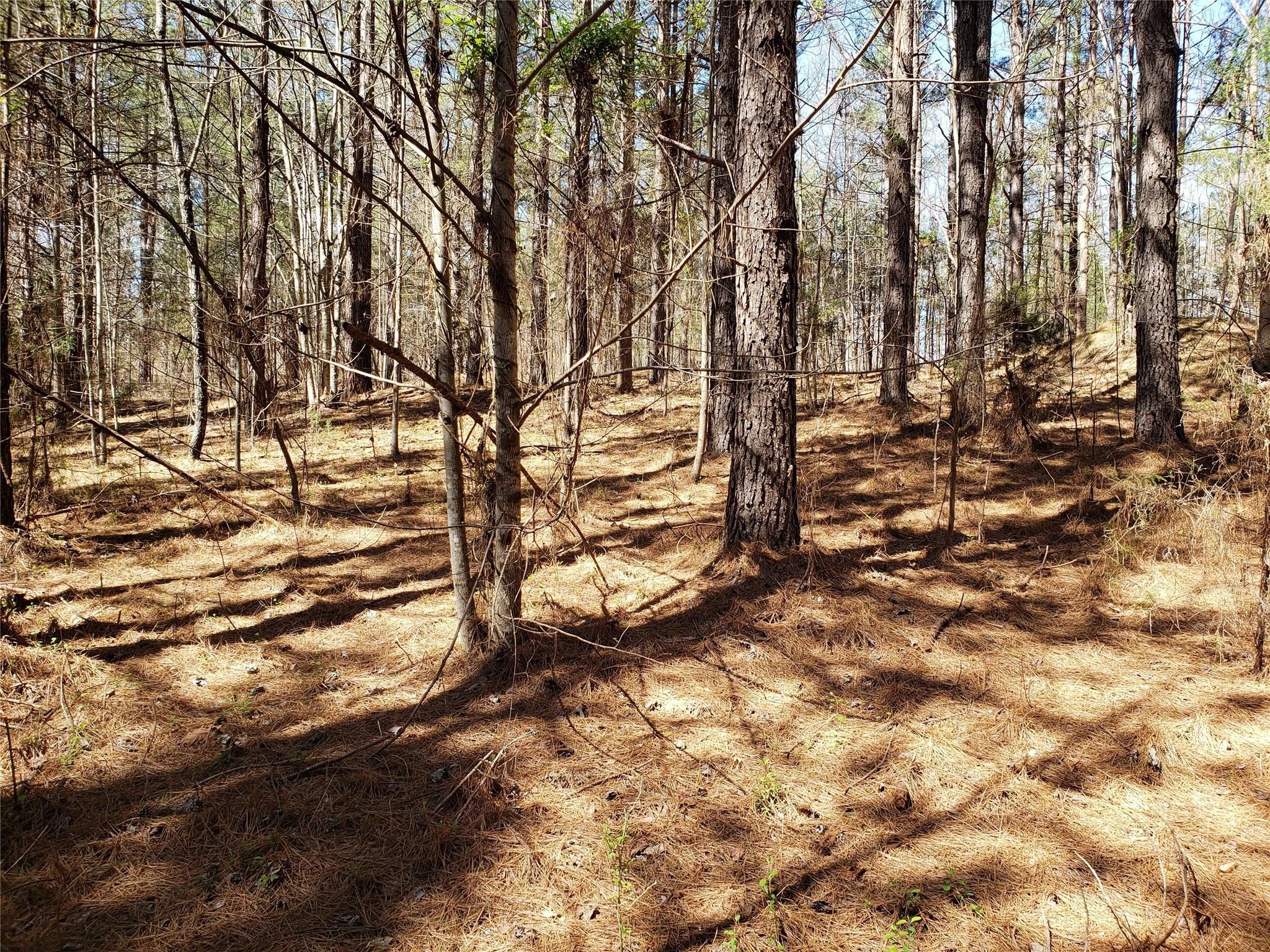 Bitterroot Circle