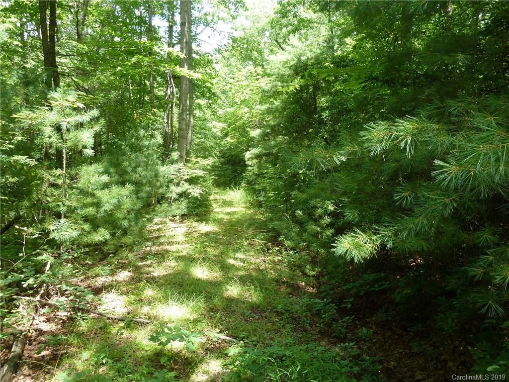 46 Dakota Springs Loop