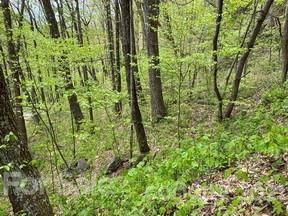 Lot 319b Eagles Nest Road