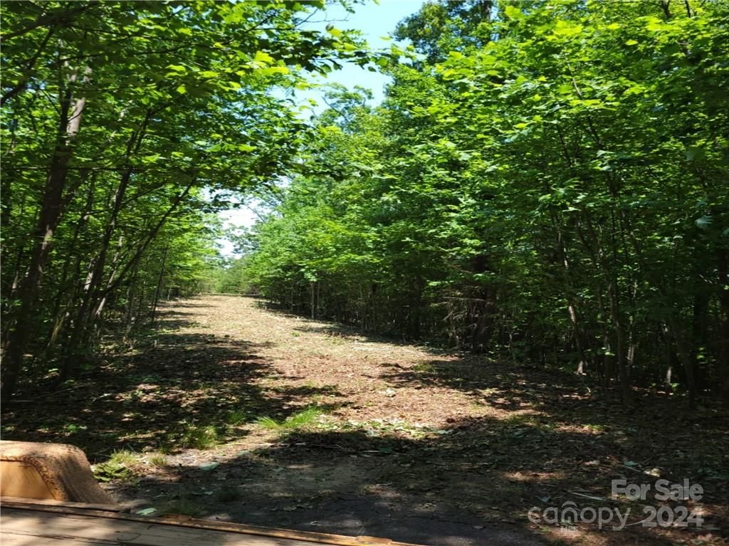 Lot 5 Burroughs Road