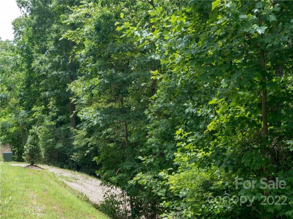 Lot 1 Top Ridge Lane