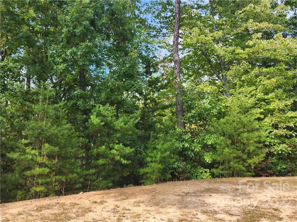 Lot 240 Rock Ledge Drive
