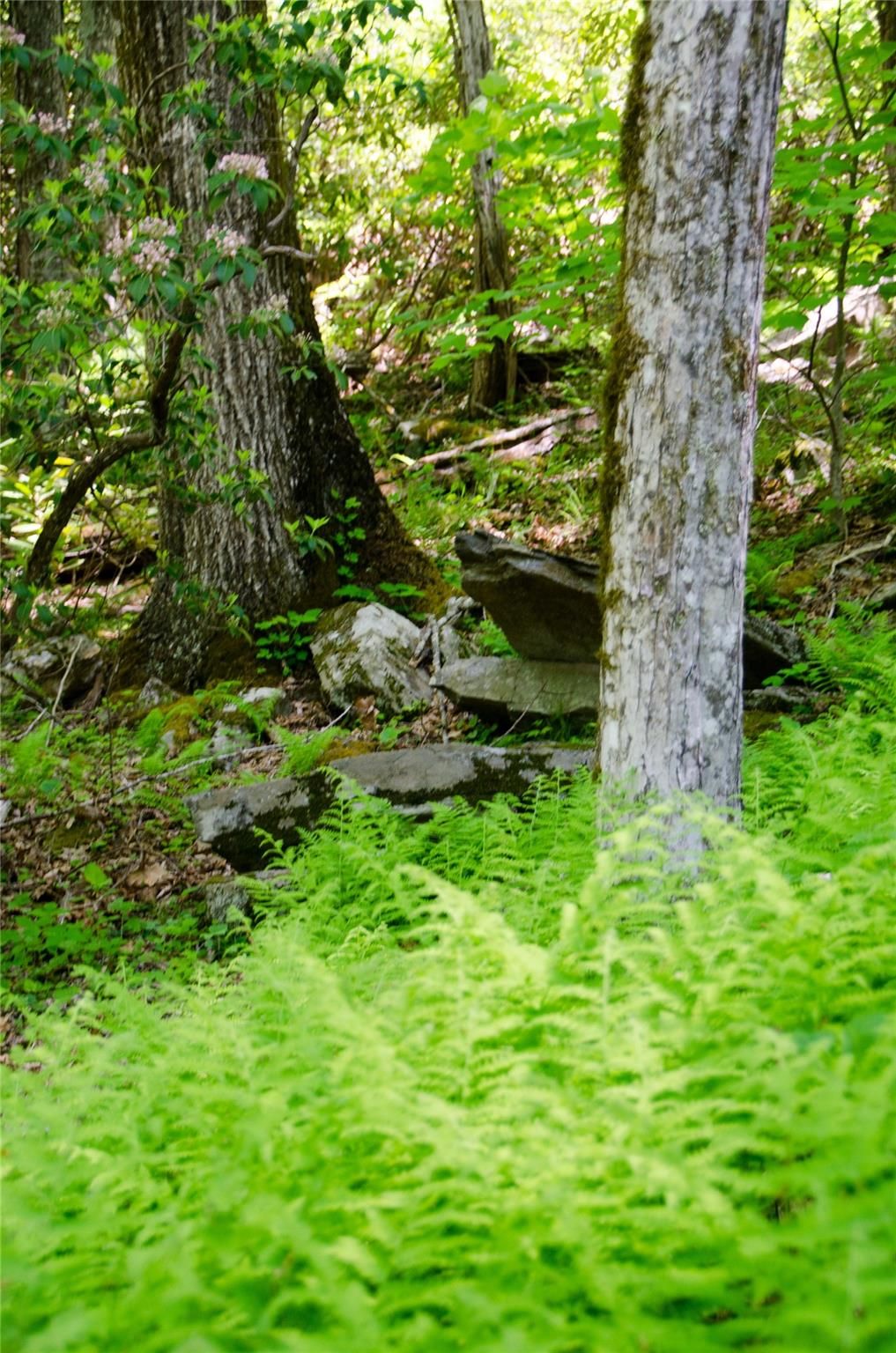 000 Big Ridge Road