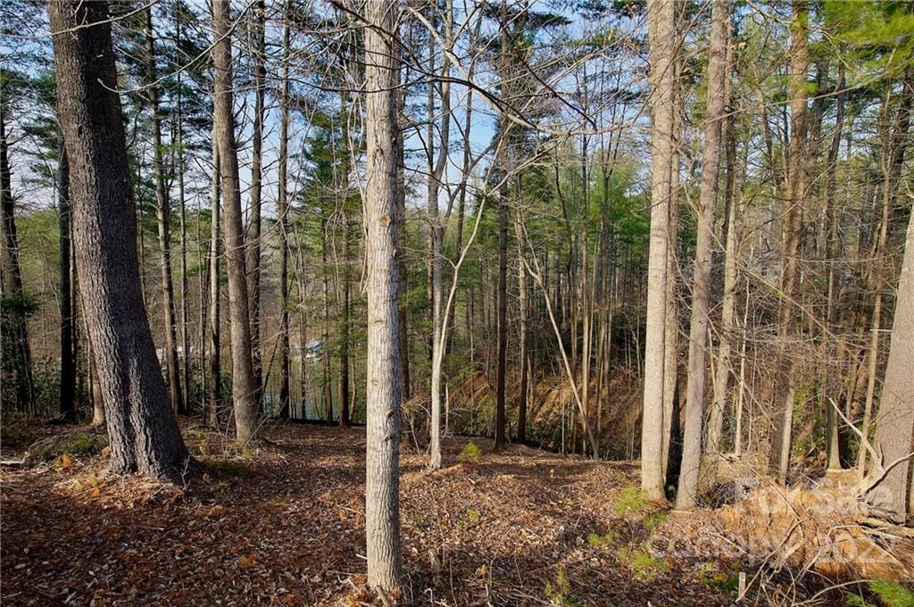 492 Larkhaven Drive