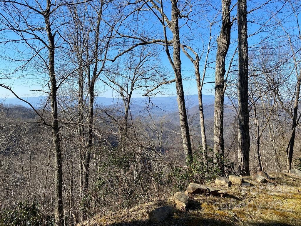 Persimmon Way