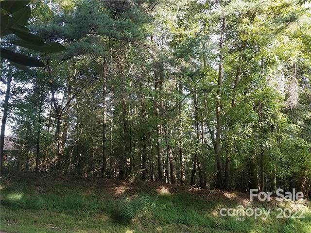 Tbd Connestee Trail