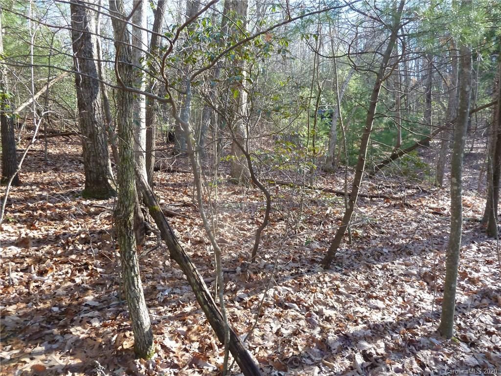 47 Dakota Springs Loop